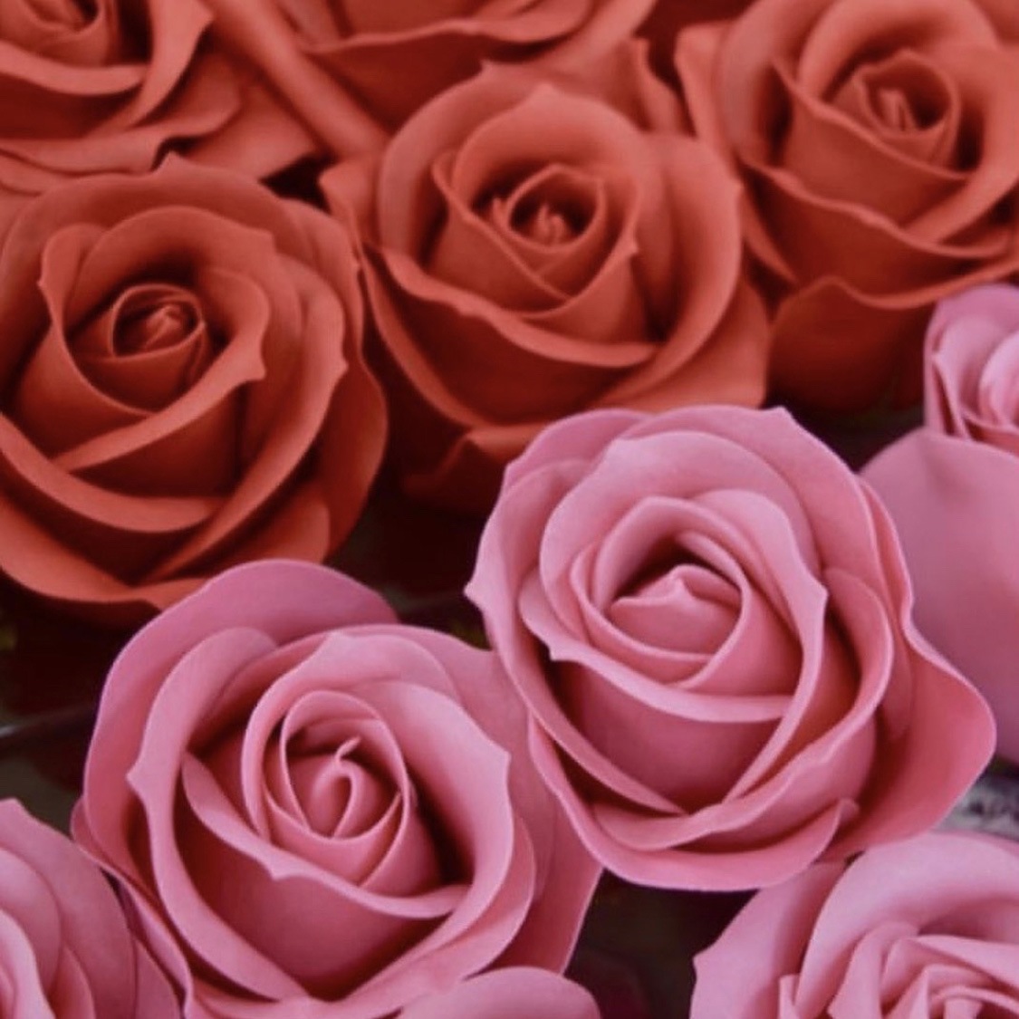 Flores Rosas Japonesas Caja