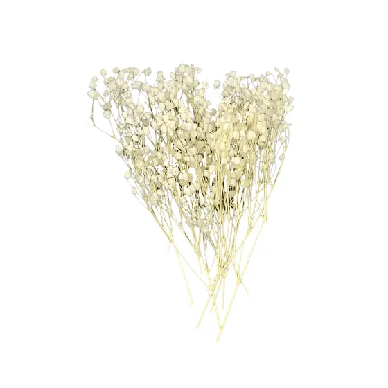 Babys Breath Natural Pequeño