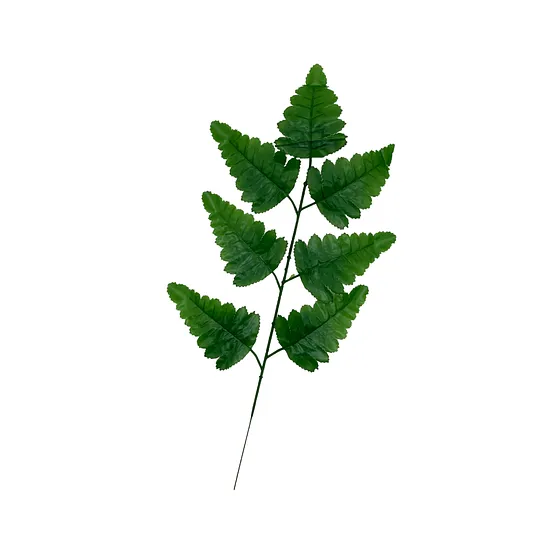 Hoja Decorativa