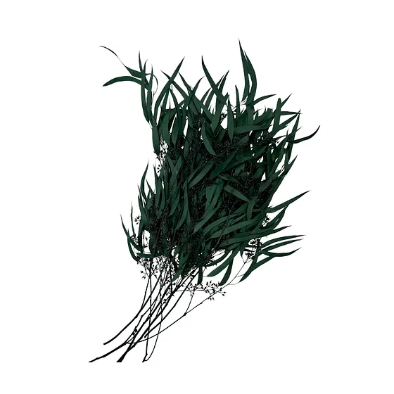 Follaje Hojas Naturales Verde