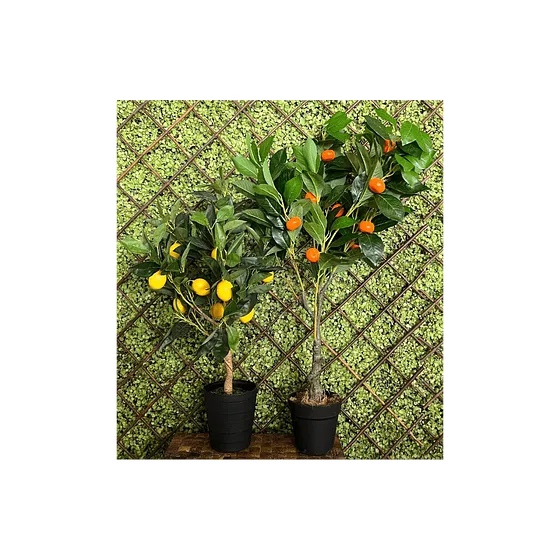 Plantas Decorativas de Frutas