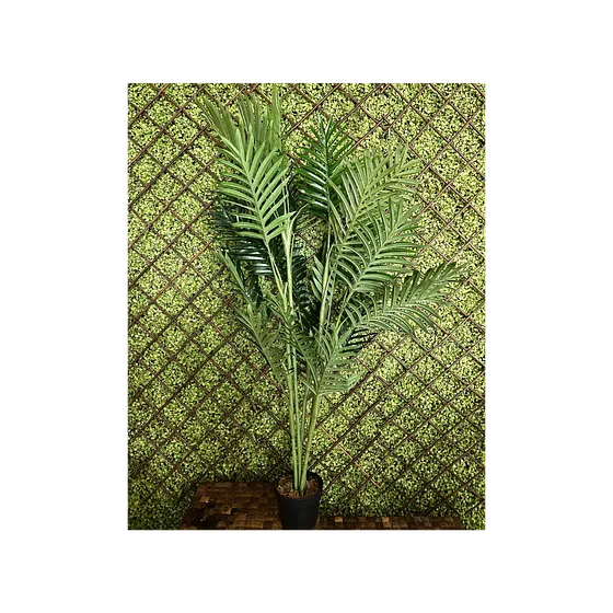 Planta Decorativa Palma