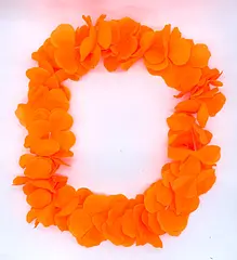 COLLAR HAWAIANO