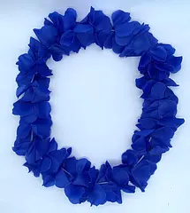 COLLAR HAWAIANO