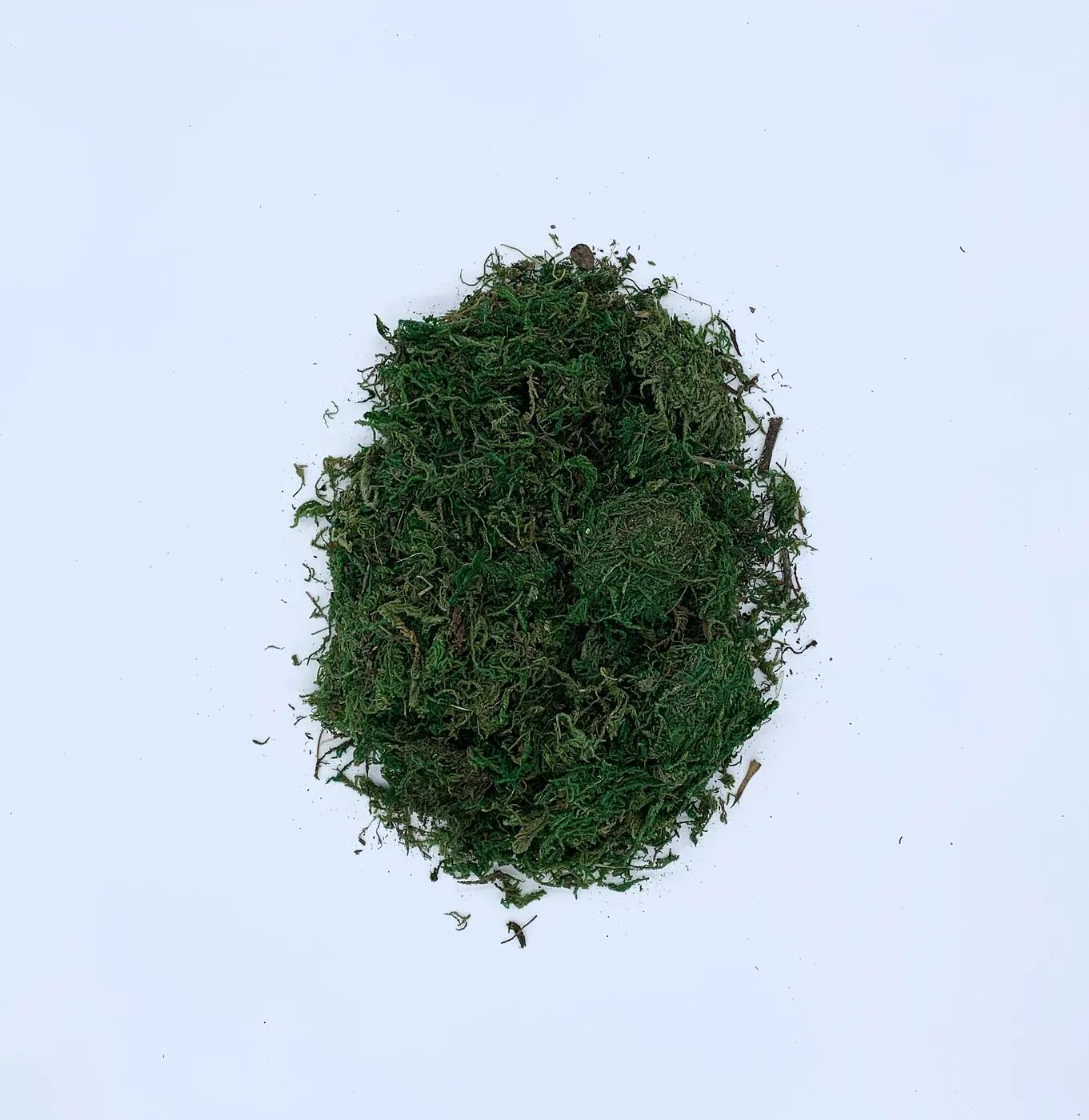 MUSGO VERDE
