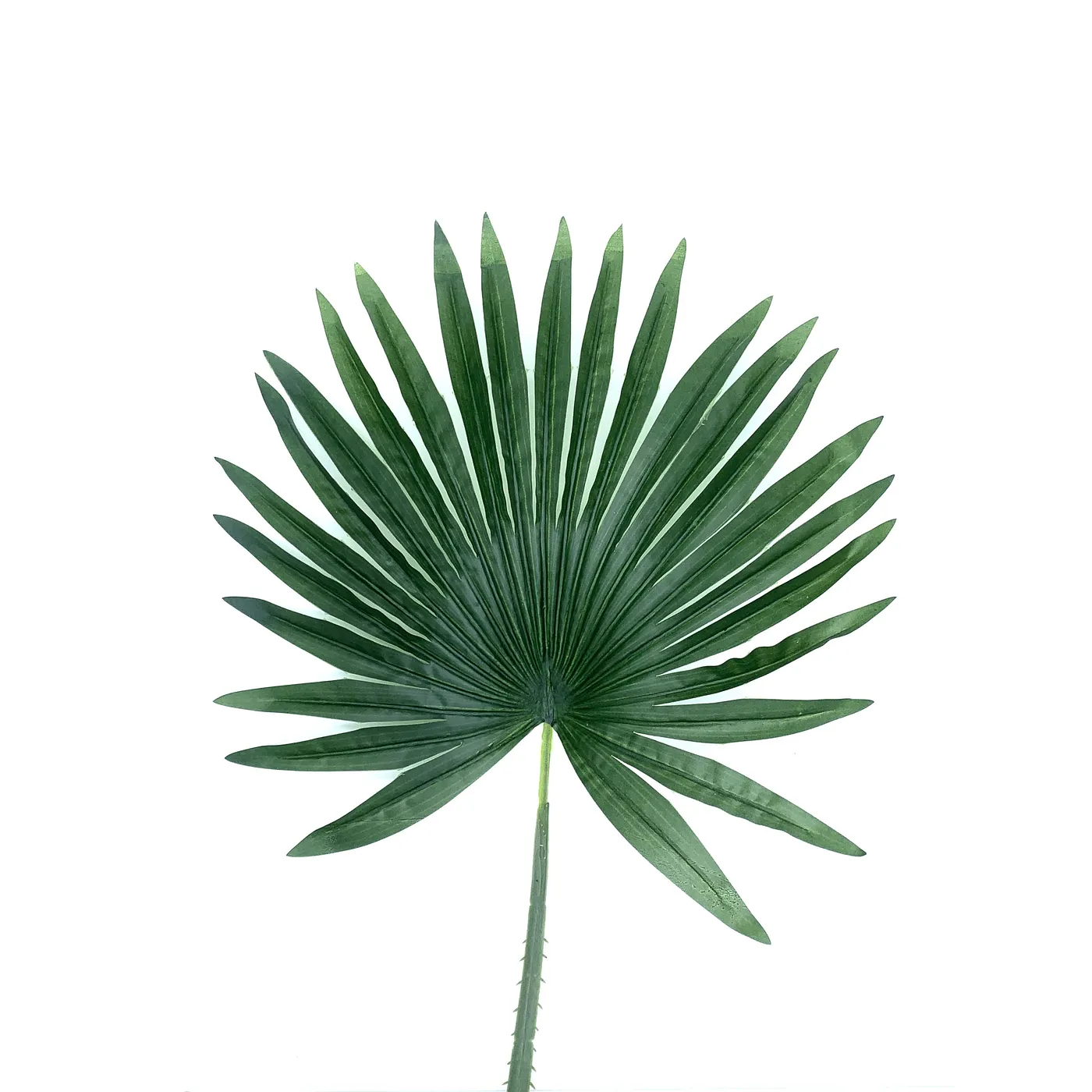 HOJA PALMERA